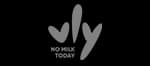 vly foods